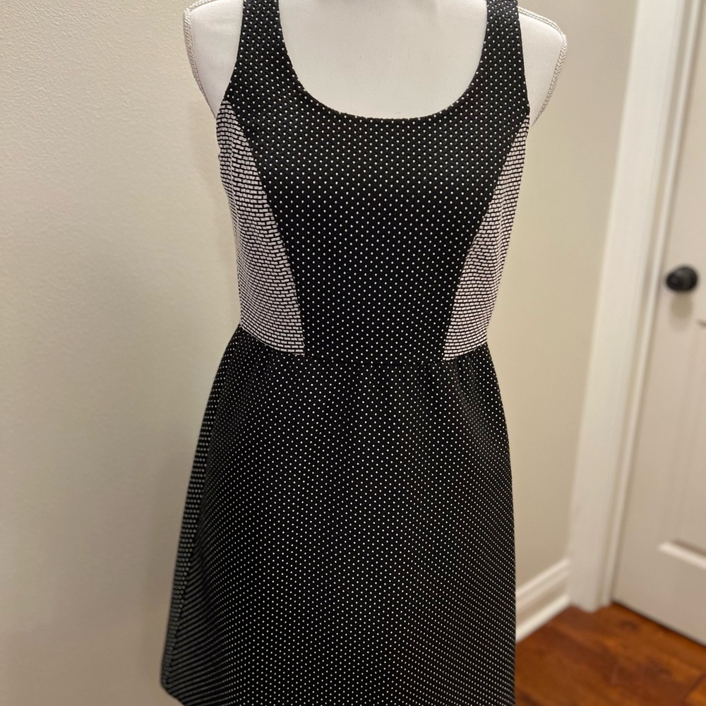 The Limited black and white polka dot A line dress